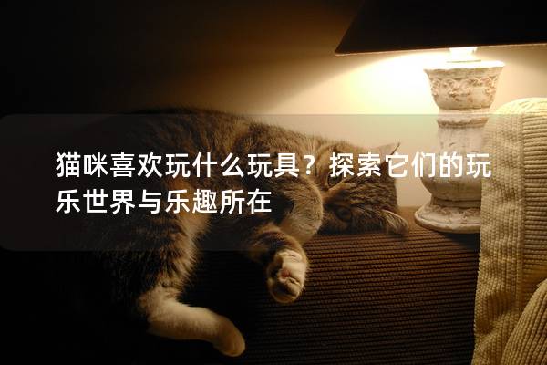 猫咪喜欢玩什么玩具？探索它们的玩乐世界与乐趣所在