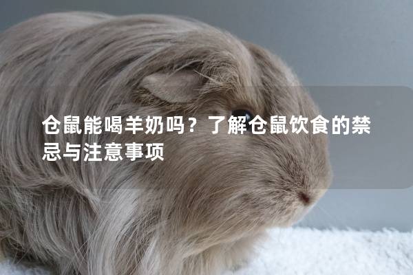 仓鼠能喝羊奶吗?了解仓鼠饮食的禁忌与注意事项 仓鼠能喝羊奶吗?了解仓鼠饮食的禁忌与注意事项