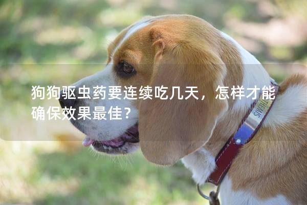 狗狗驱虫药要连续吃几天,怎样才能确保效果最佳? 狗狗驱虫药要连续吃几天,怎样才能确保效果最佳?
