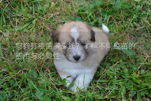 狗狗打疫苗多少钱?了解不同疫苗的费用与必要性 狗狗打疫苗多少钱?了解不同疫苗的费用与必要性