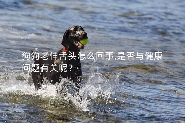 狗狗老伸舌头怎么回事,是否与健康问题有关呢？