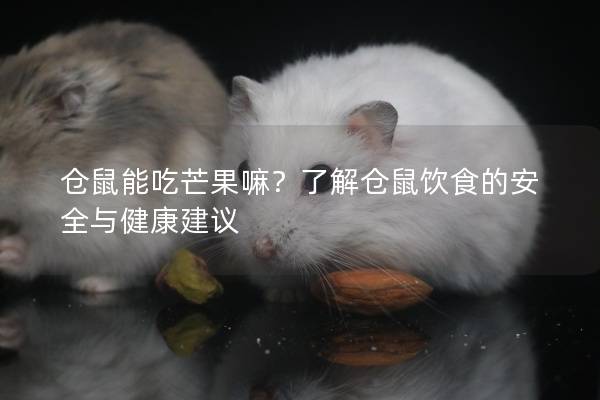 仓鼠能吃芒果嘛？了解仓鼠饮食的安全与健康建议