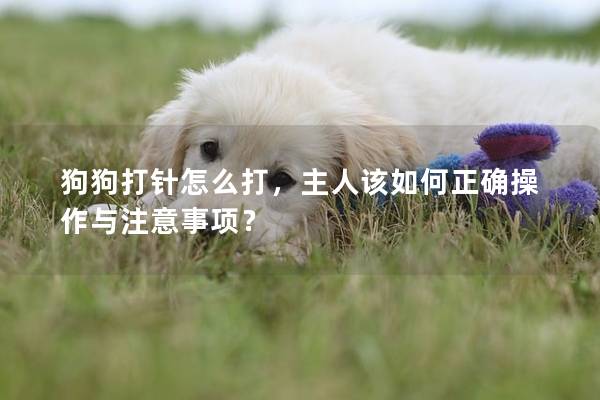 狗狗打针怎么打，主人该如何正确操作与注意事项？