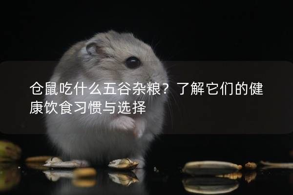 仓鼠吃什么五谷杂粮？了解它们的健康饮食习惯与选择