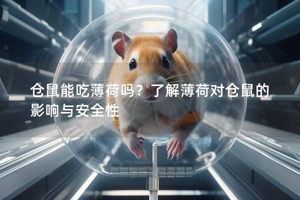 仓鼠能吃薄荷吗？了解薄荷对仓鼠的影响与安全性