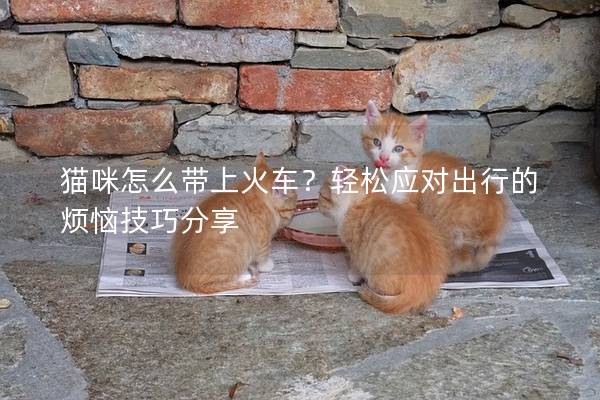 猫咪怎么带上火车？轻松应对出行的烦恼技巧分享