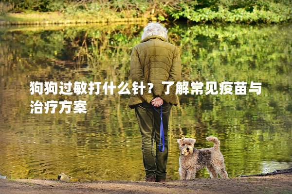 狗狗过敏打什么针?了解常见疫苗与治疗方案 狗狗过敏打什么针?了解常见疫苗与治疗方案
