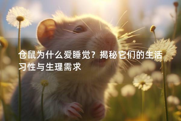 仓鼠为什么爱睡觉？揭秘它们的生活习性与生理需求