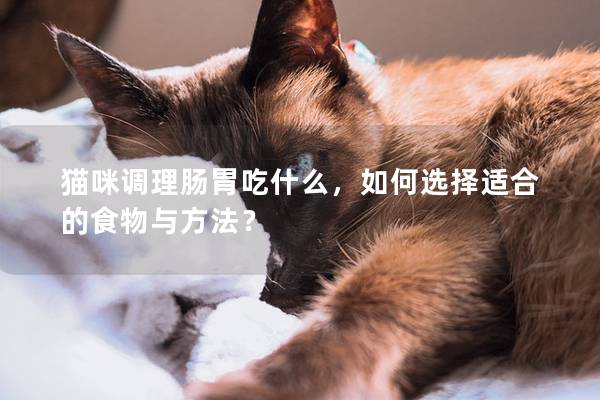 猫咪调理肠胃吃什么，如何选择适合的食物与方法？