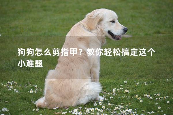 狗狗怎么剪指甲？教你轻松搞定这个小难题