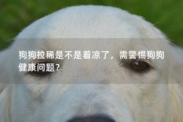 狗狗拉稀是不是着凉了,需警惕狗狗健康问题? 狗狗拉稀是不是着凉了,需警惕狗狗健康问题?