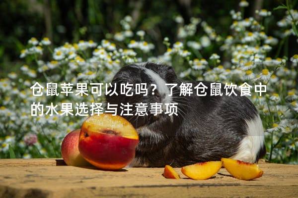 仓鼠苹果可以吃吗？了解仓鼠饮食中的水果选择与注意事项
