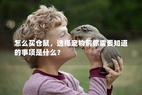 怎么买仓鼠,选择宠物前你需要知道的事项是什么? 怎么买仓鼠,选择宠物前你需要知道的事项是什么?