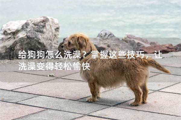 给狗狗怎么洗澡？掌握这些技巧，让洗澡变得轻松愉快