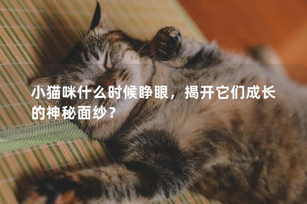 小猫咪什么时候睁眼，揭开它们成长的神秘面纱？