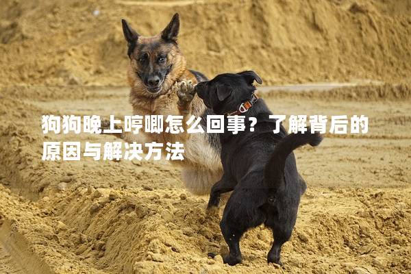 狗狗晚上哼唧怎么回事？了解背后的原因与解决方法