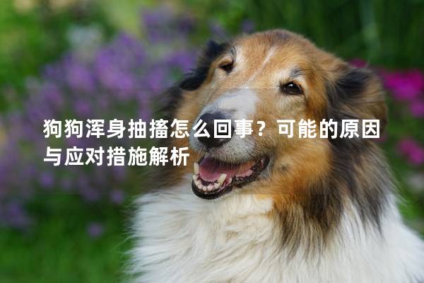 狗狗浑身抽搐怎么回事？可能的原因与应对措施解析