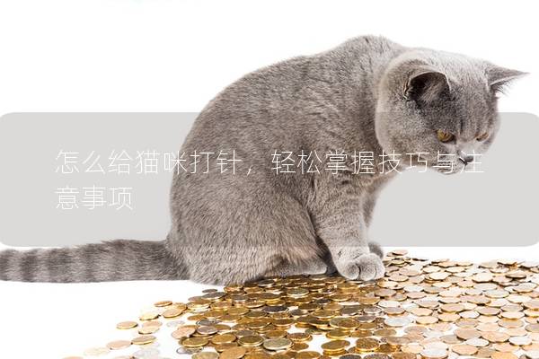 怎么给猫咪打针，轻松掌握技巧与注意事项