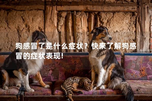 狗感冒了是什么症状？快来了解狗感冒的症状表现!