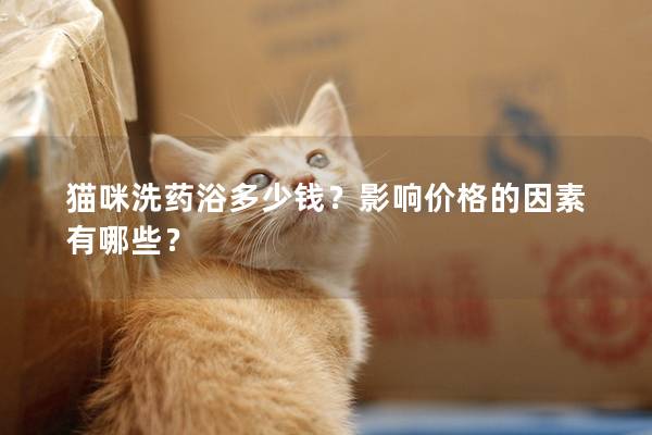 猫咪洗药浴多少钱?影响价格的因素有哪些? 猫咪洗药浴多少钱?影响价格的因素有哪些?