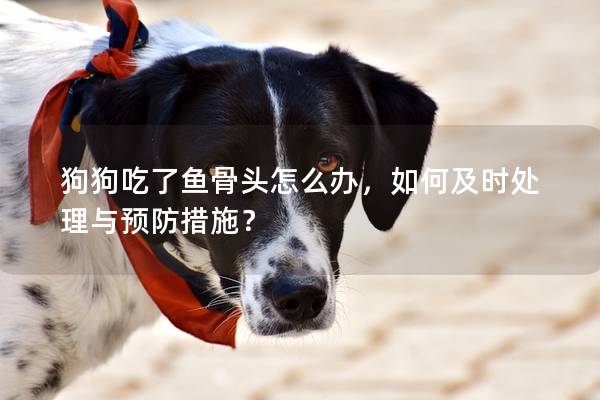 狗狗吃了鱼骨头怎么办，如何及时处理与预防措施？