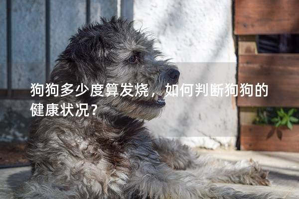 狗狗多少度算发烧,如何判断狗狗的健康状况? 狗狗多少度算发烧,如何判断狗狗的健康状况?