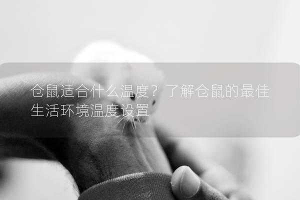 仓鼠适合什么温度？了解仓鼠的最佳生活环境温度设置