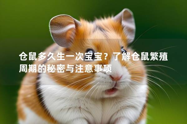 仓鼠多久生一次宝宝？了解仓鼠繁殖周期的秘密与注意事项