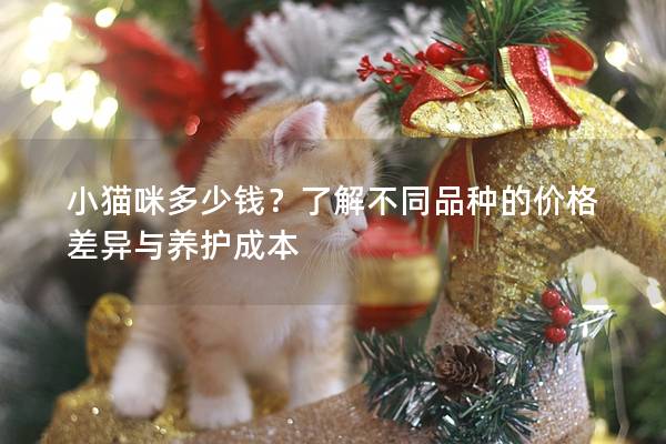 小猫咪多少钱?了解不同品种的价格差异与养护成本 小猫咪多少钱?了解不同品种的价格差异与养护成本