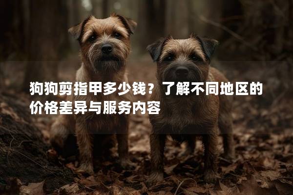 狗狗剪指甲多少钱？了解不同地区的价格差异与服务内容
