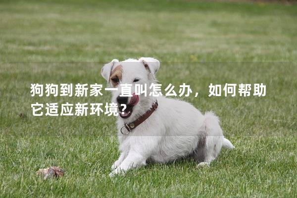 狗狗到新家一直叫怎么办，如何帮助它适应新环境？