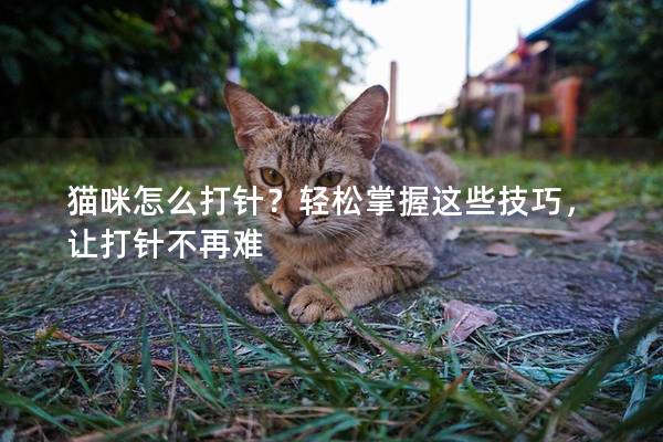 猫咪怎么打针？轻松掌握这些技巧，让打针不再难