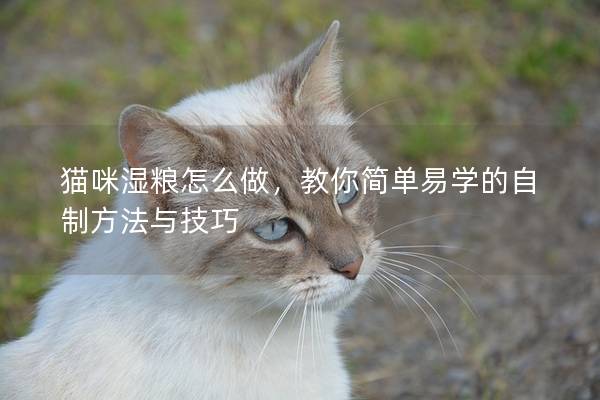 猫咪湿粮怎么做，教你简单易学的自制方法与技巧