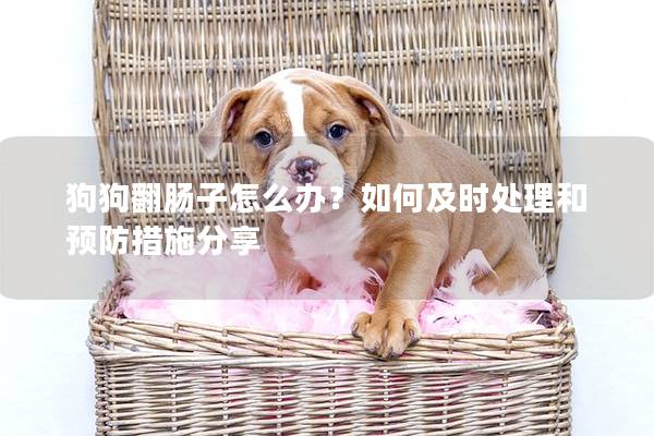 狗狗翻肠子怎么办？如何及时处理和预防措施分享