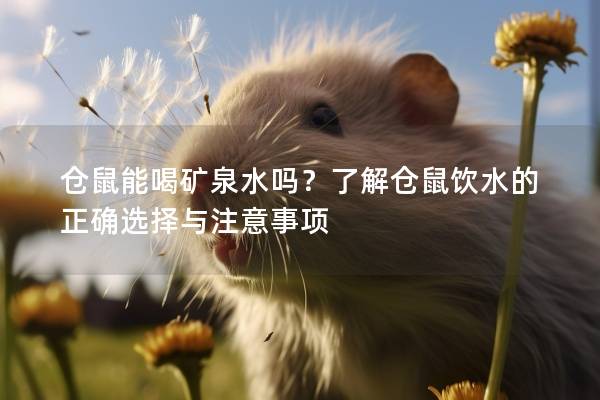 仓鼠能喝矿泉水吗？了解仓鼠饮水的正确选择与注意事项