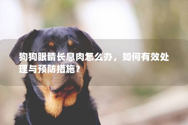 狗狗眼睛长息肉怎么办，如何有效处理与预防措施？