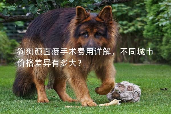 狗狗颜面瘘手术费用详解，不同城市价格差异有多大？