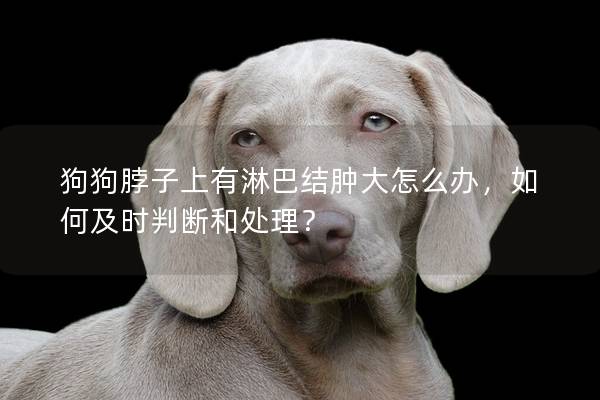 狗狗脖子上有淋巴结肿大怎么办，如何及时判断和处理？