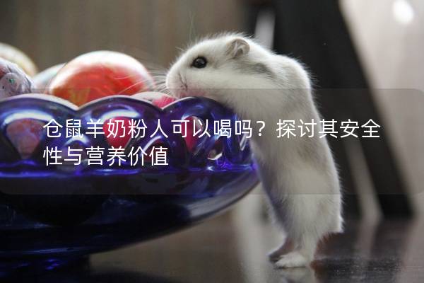 仓鼠羊奶粉人可以喝吗？探讨其安全性与营养价值