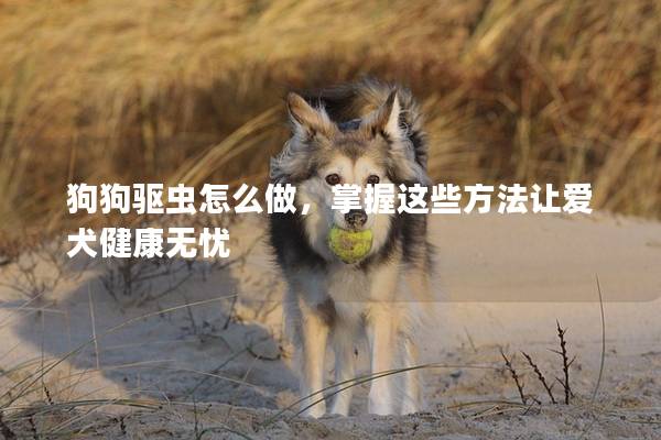 狗狗驱虫怎么做，掌握这些方法让爱犬健康无忧