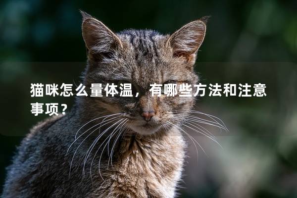 猫咪怎么量体温，有哪些方法和注意事项？