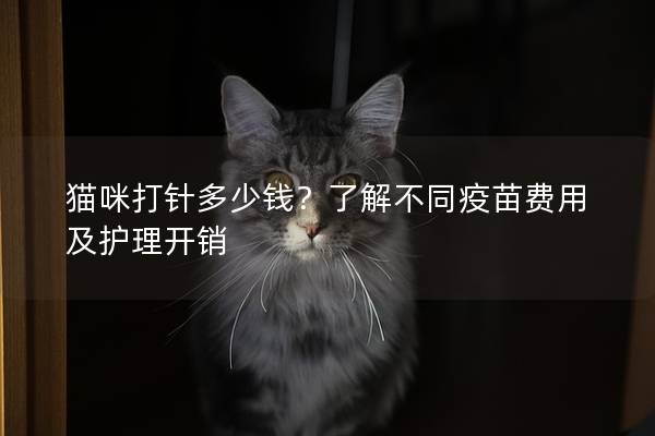 猫咪打针多少钱？了解不同疫苗费用及护理开销