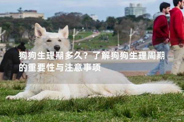 狗狗生理期多久？了解狗狗生理周期的重要性与注意事项