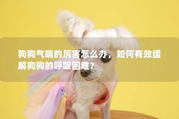 狗狗气喘的厉害怎么办,如何有效缓解狗狗的呼吸困难? 狗狗气喘的厉害怎么办,如何有效缓解狗狗的呼吸困难?