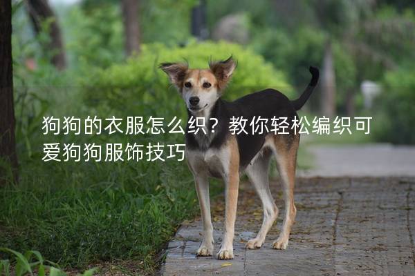 狗狗的衣服怎么织？教你轻松编织可爱狗狗服饰技巧