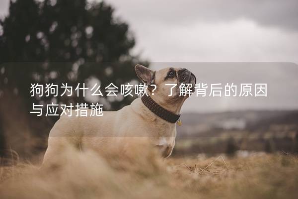 狗狗为什么会咳嗽?了解背后的原因与应对措施 狗狗为什么会咳嗽?了解背后的原因与应对措施
