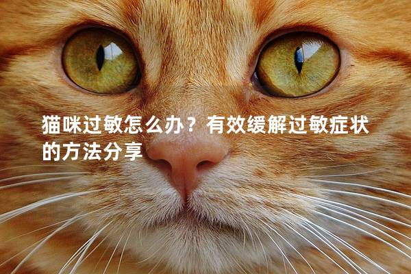 猫咪过敏怎么办？有效缓解过敏症状的方法分享