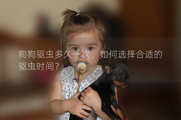 狗狗驱虫多久一次，如何选择合适的驱虫时间？