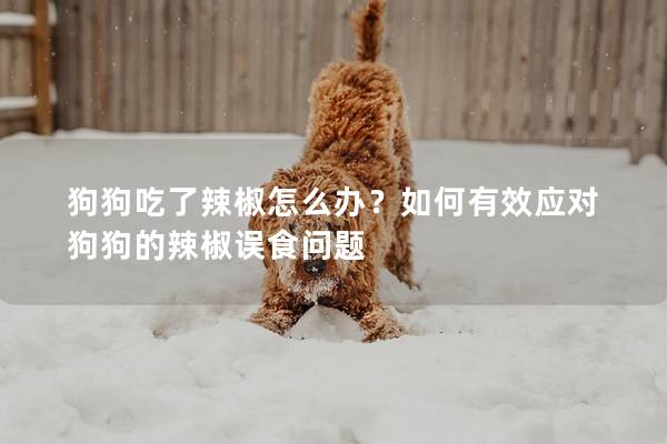 狗狗吃了辣椒怎么办？如何有效应对狗狗的辣椒误食问题