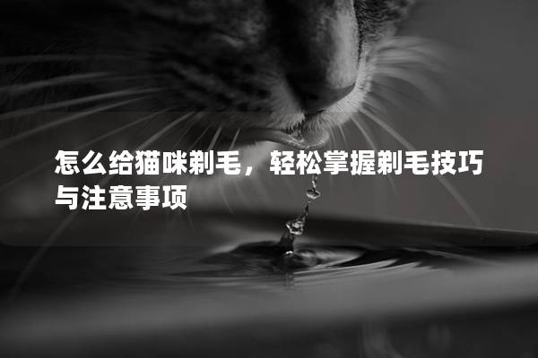 怎么给猫咪剃毛,轻松掌握剃毛技巧与注意事项 怎么给猫咪剃毛,轻松掌握剃毛技巧与注意事项